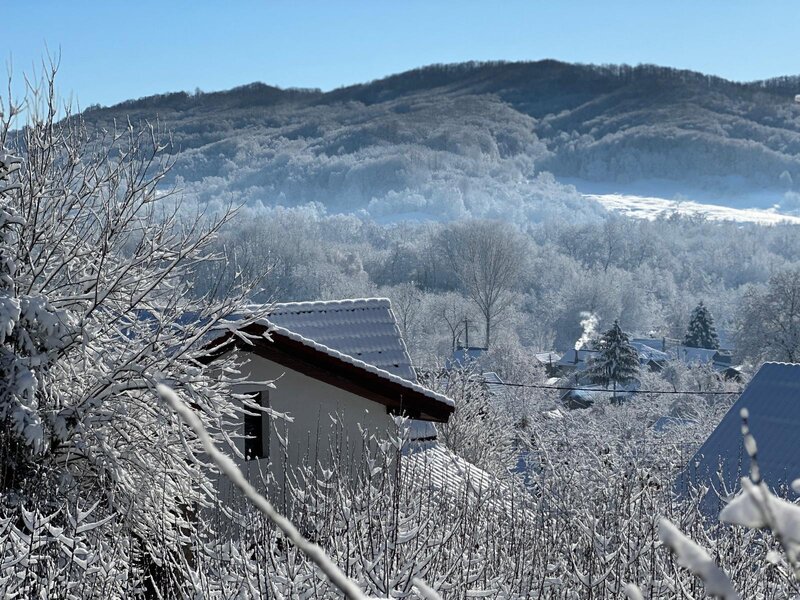 Pucioasa vila eleganta la doar 30 km de Sinaia